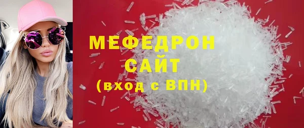 молекула духа Богородицк