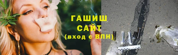 молекула духа Богородицк