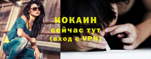 дурь Бронницы