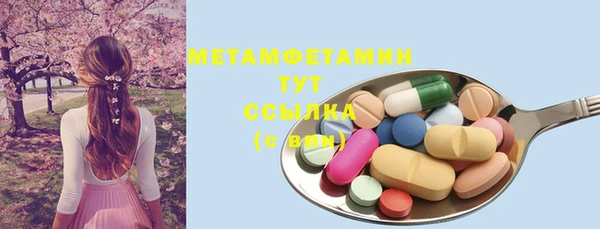 молекула духа Богородицк