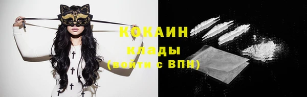 дмт Богородск