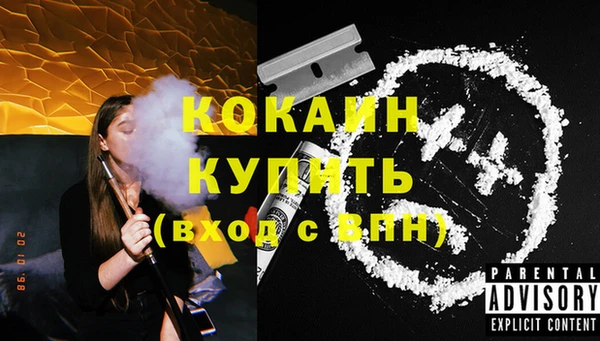 дурь Бронницы