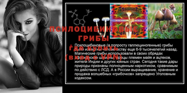 молекула духа Богородицк