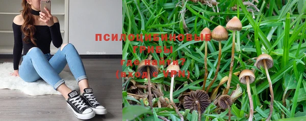 дурь Бронницы