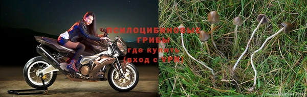 дмт Богородск