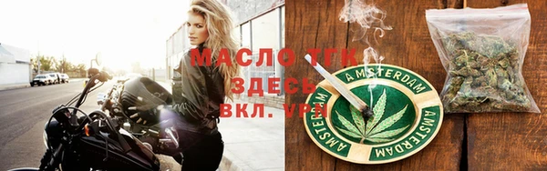 молекула духа Богородицк