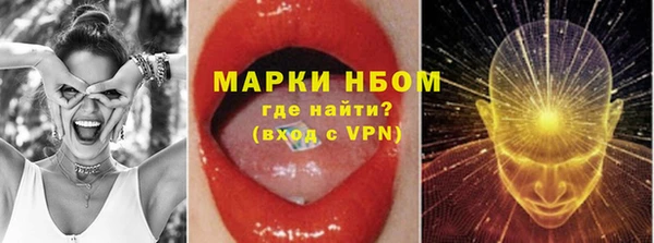 молекула духа Богородицк